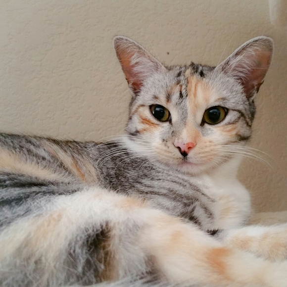 Meet your Posher, Karina - Picture 10 of 12